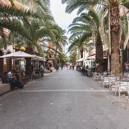 El Secretario Daire Las Palmas de Gran Canaria
